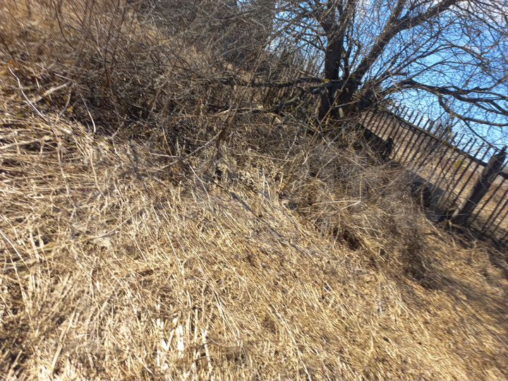 Дом 30 м² на участке 50 сот.