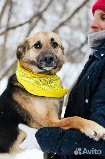 Малютка Никс не может без человека