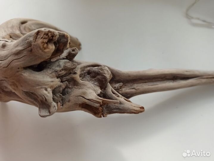 Коряга мангровая в аквариум