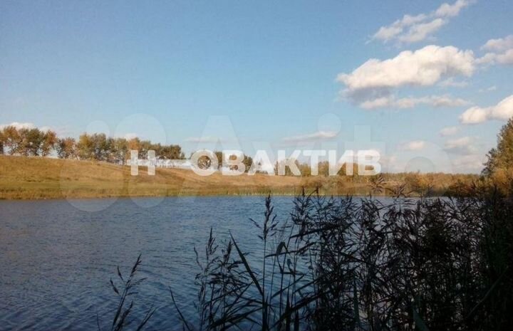 Участок 1,03 га (СНТ, ДНП)