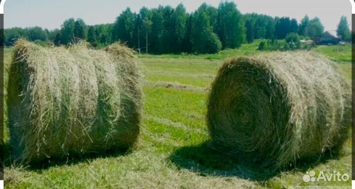 Рулон сена