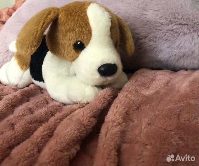Мягкие игрушки собака