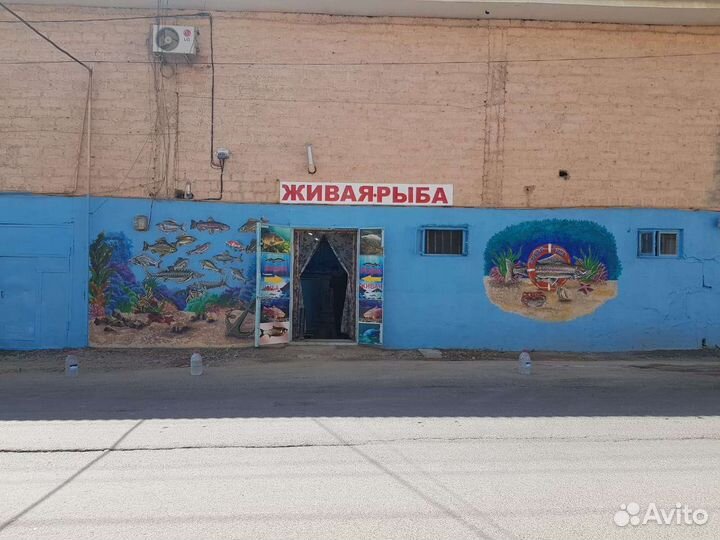 Живая рыба в Дербенте