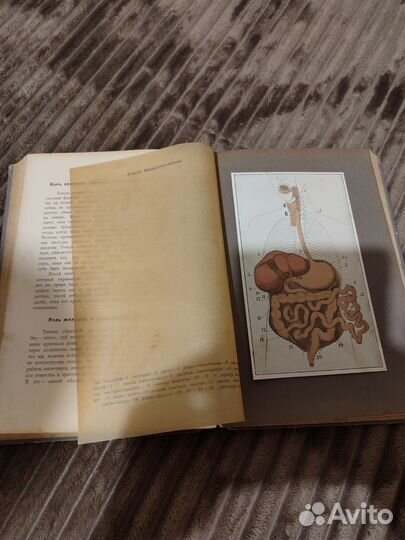 Детская энциклопедия 1913 года