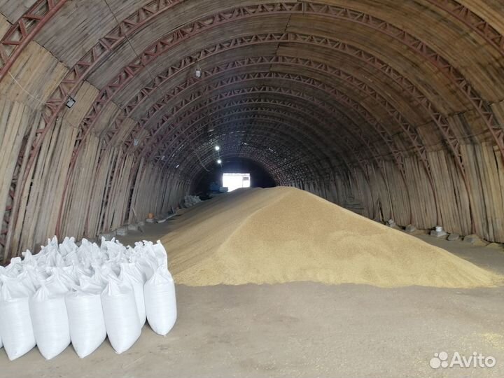 Ячмень пшеница овёс кукуруза горох Фасованный