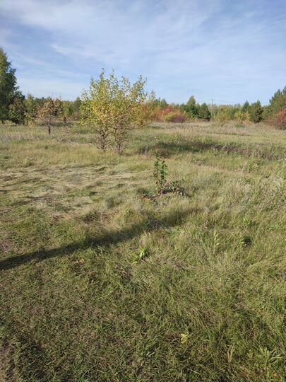 Коттедж 137 м² на участке 14,5 сот.