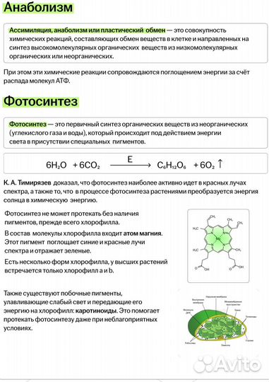 Конспекты от умскул