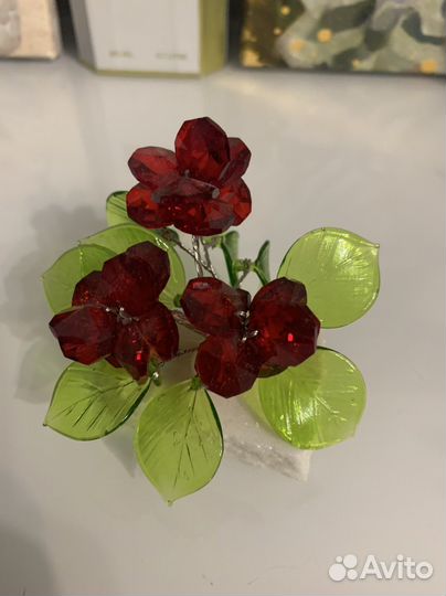 Декоративные цветы