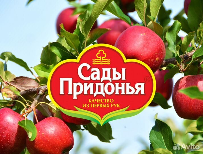 Грузчик-разнорабочий на производство