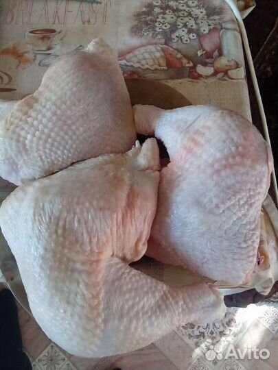 Куры домашние, окорочка, грудки