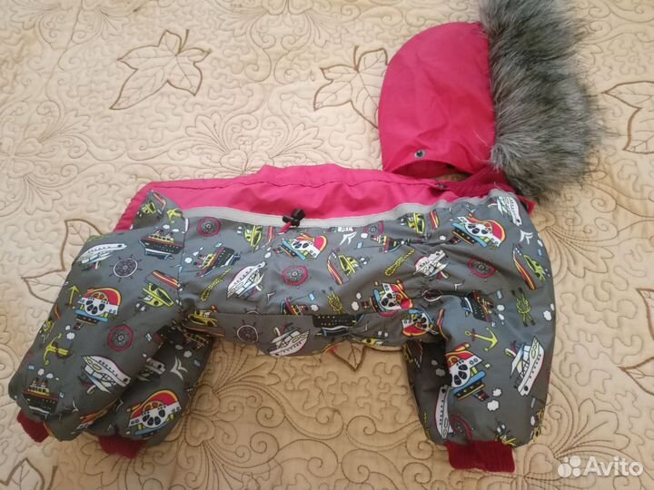 Одежда для маленьких собак