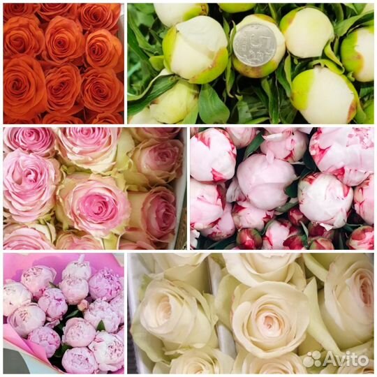 Пионы оптом/ пионы букеты/ розы букеты с доставкой
