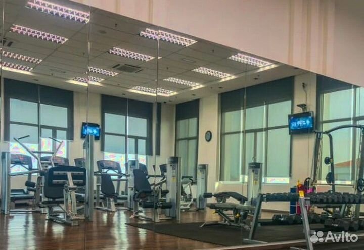 Стекла в спортзалы