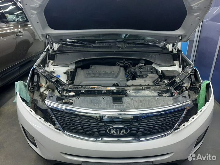 Bi-led линзы diliht parrot Kia Sorento