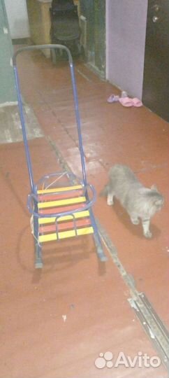 Детские санки