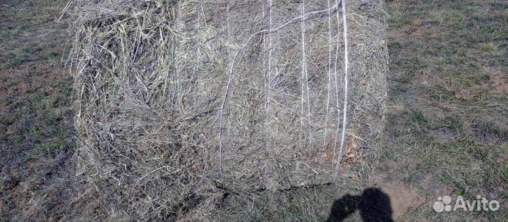 Сено в тюках