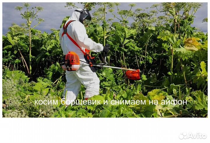 Лечение деревьев,уничтожение короеда,покос и тд