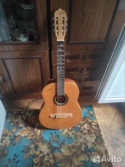 Акустическая гитара кремона роза