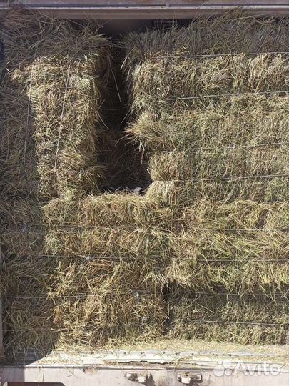 Сено в тюках 20 кг