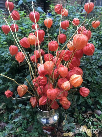 Китайский фонарик