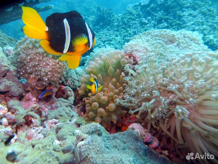 Relax тур в ОАЭ на 7 дн