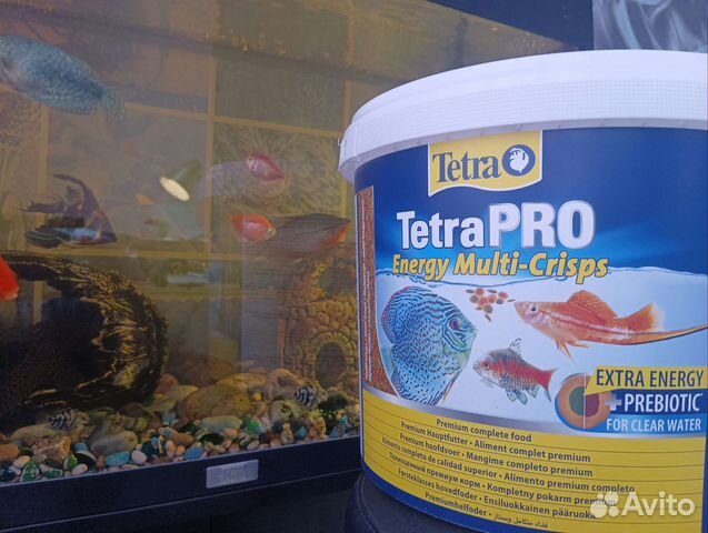 Корм для рыб