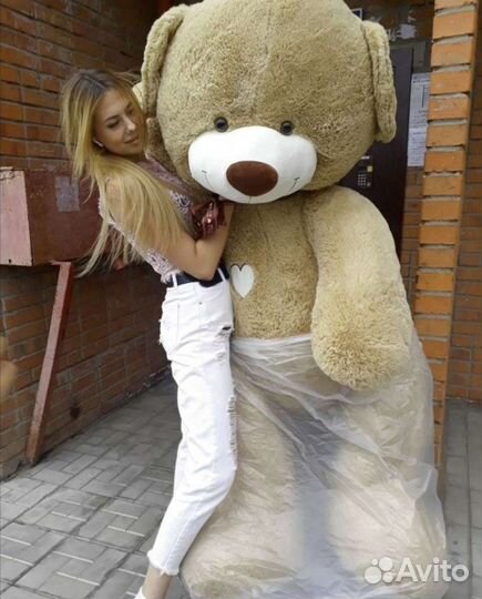 Плюшевый медведь