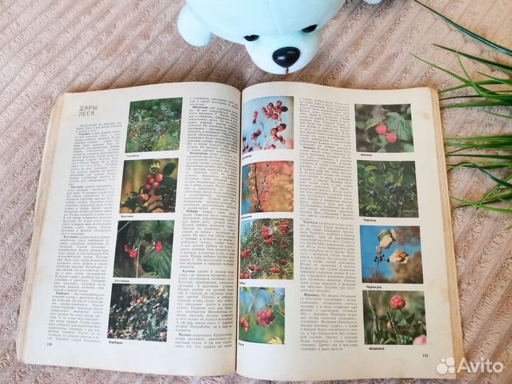 Ежегодник Лес и человек 1975 г 1976 г