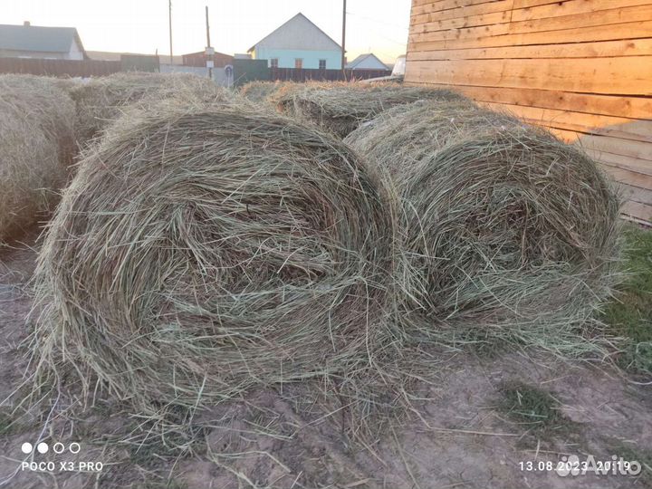 Продам сено в рулонах