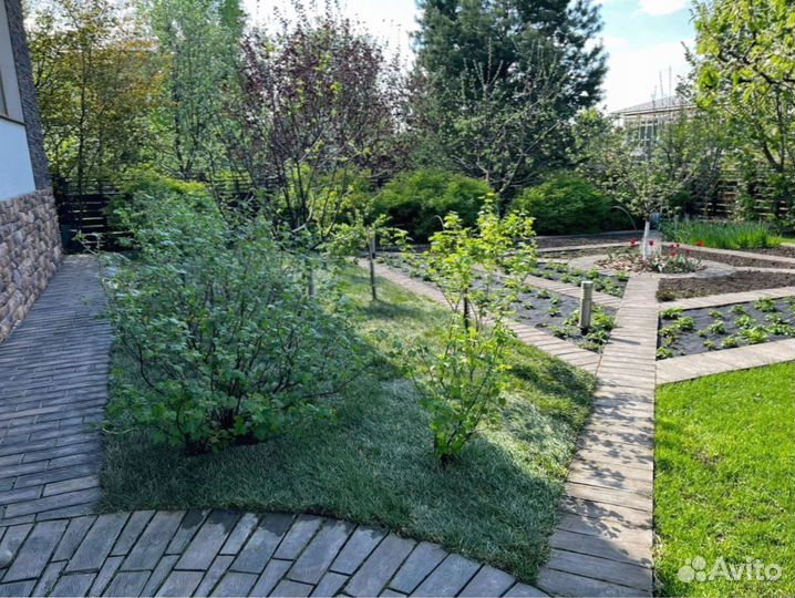 Красивый рулонный газон от профессионалов