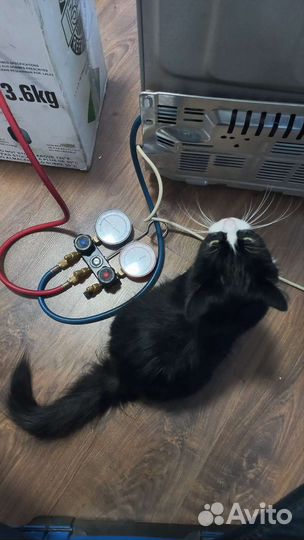 Ремонт холодильников