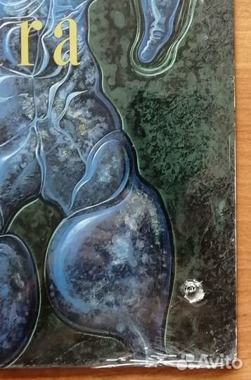 2 LP Dead End Shambara + The Who It's Hard + 6 DVD