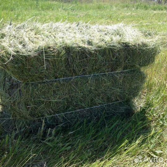 Сено луговое в тюках