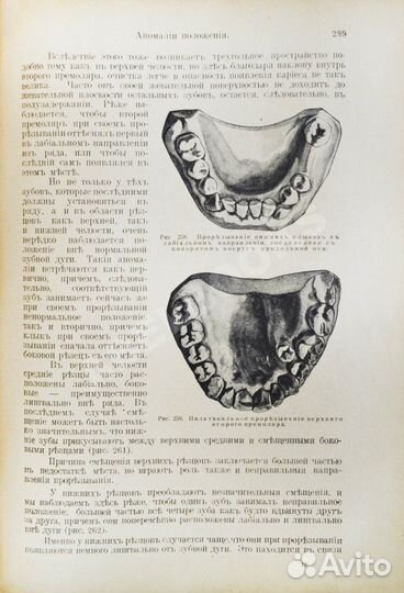 Руководство по зубоврачеванию Порт, Эйлер