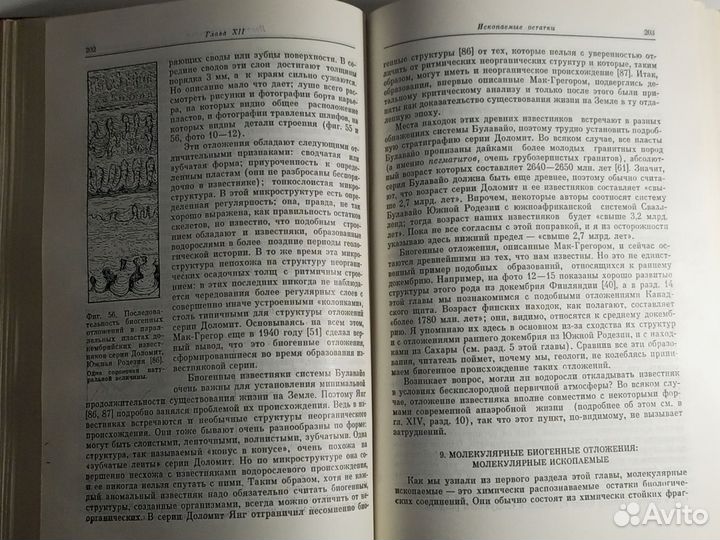 Руттен М. Происхождение жизни (естественным путем)