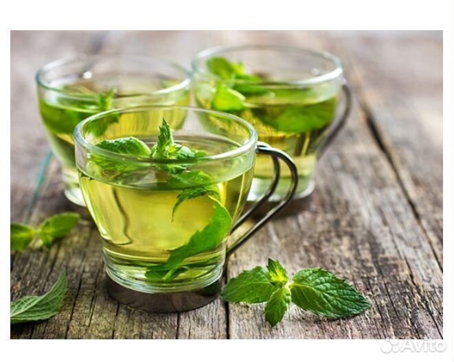 Мята Комнатная, (Плектрантус)