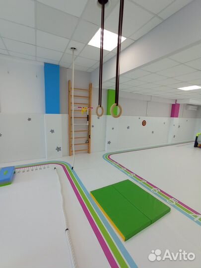 Кольца спортивные