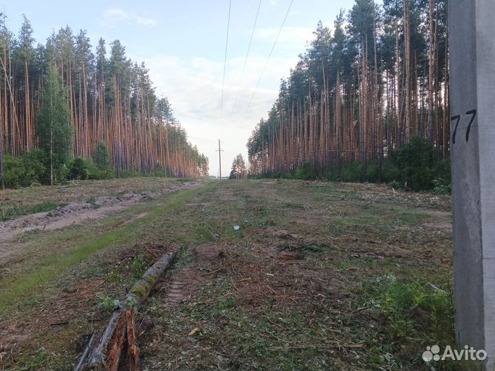 Услуги мульчера