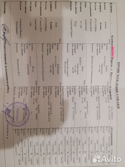 Русская гончая