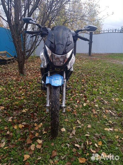 Мопед indigo storm