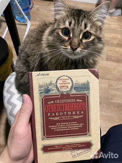 Блокнот Подарок