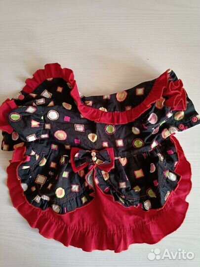 Вещи для собаки