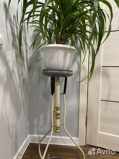 Подставка под цветы (80) + панданус с горшком (80)