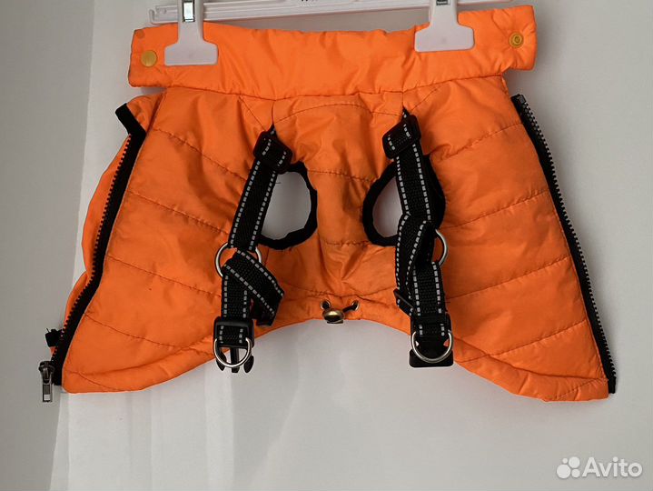 Жилет для маленькой собаки со шлейкой