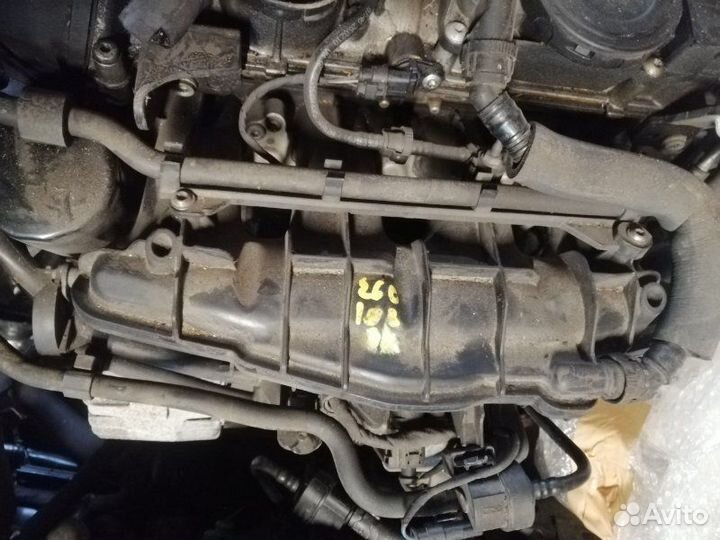 Коллектор впускной Volkswagen Tiguan 5N cawa 2010