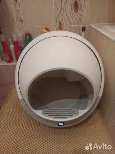 Лоток для кошек