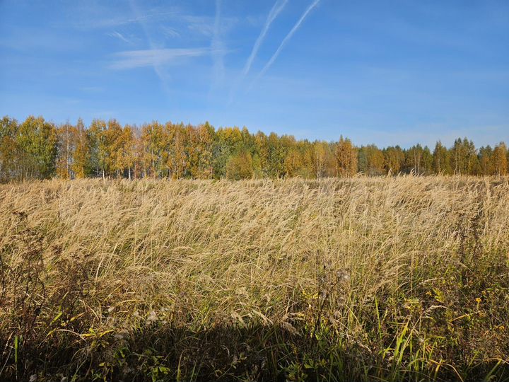 Участок 115,9 га (СНТ, ДНП)