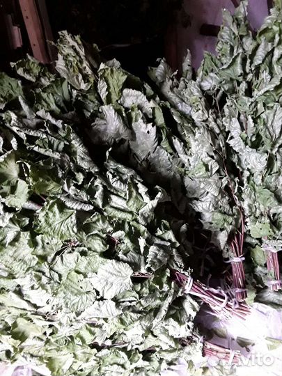 Веники для бани