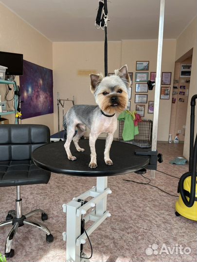 Нужны модели на груминг