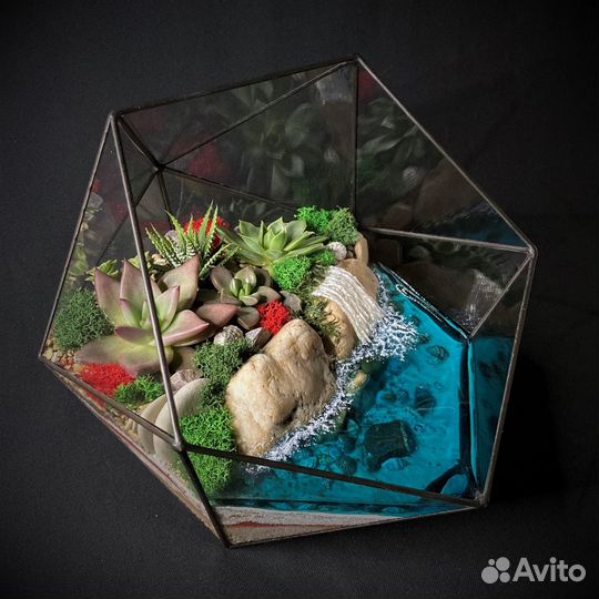 Флорариум 
